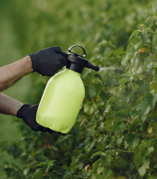 Agrochemical Industry