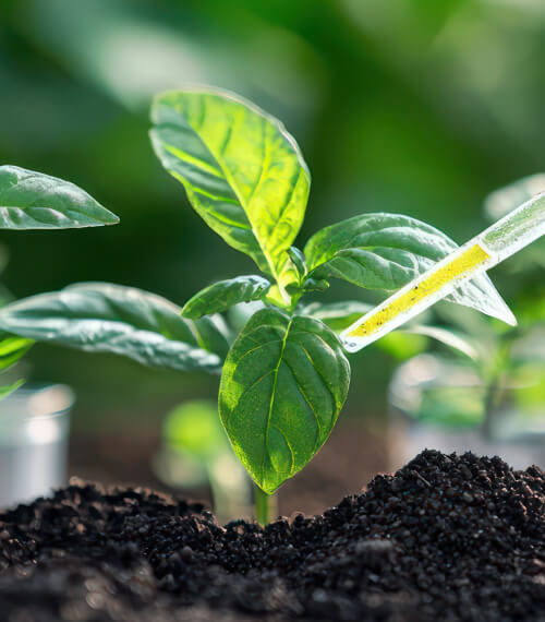 Biological & Plant Protection Products